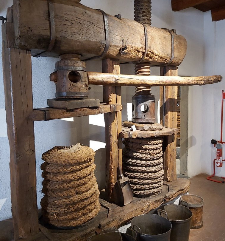 Museo dell'Olivo-因佩里亚必去景点