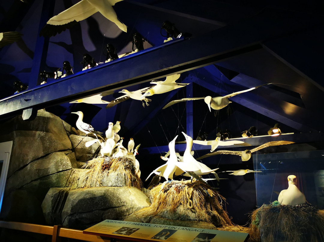 Station LPO (Ligue de protection des oiseaux) de l Ile Grande-Pleumeur Bodou必去景点