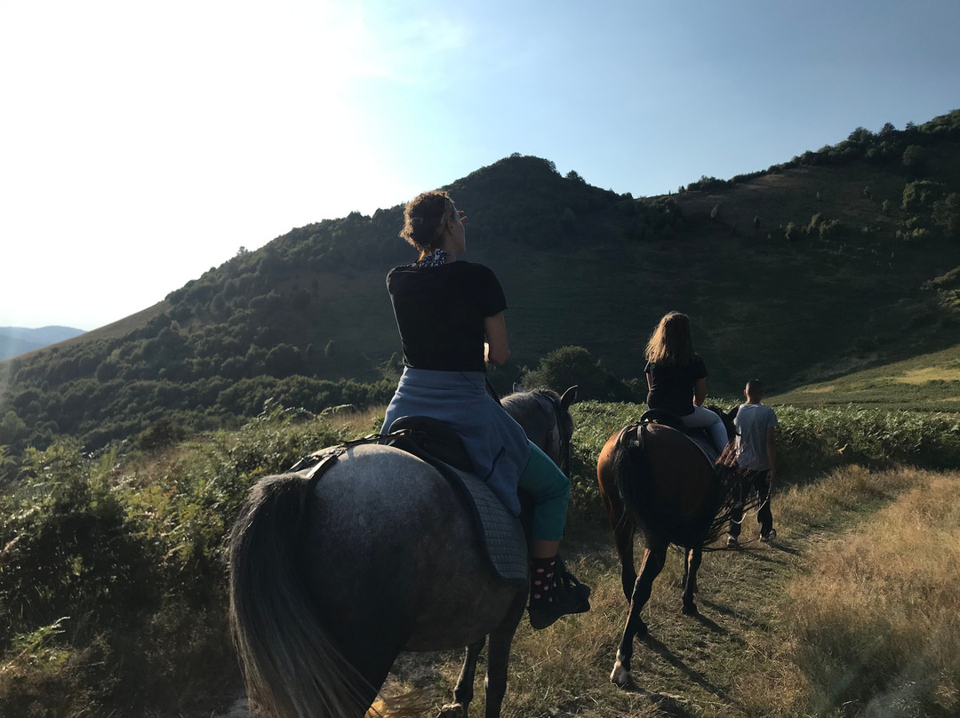 彻尔文别墅酒店主图