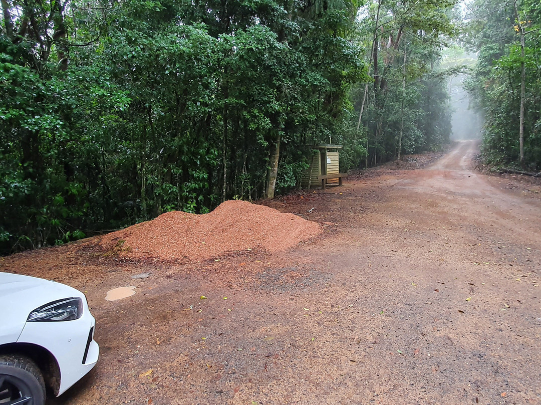 Tully Falls National Park-Ravenshoe必去景点