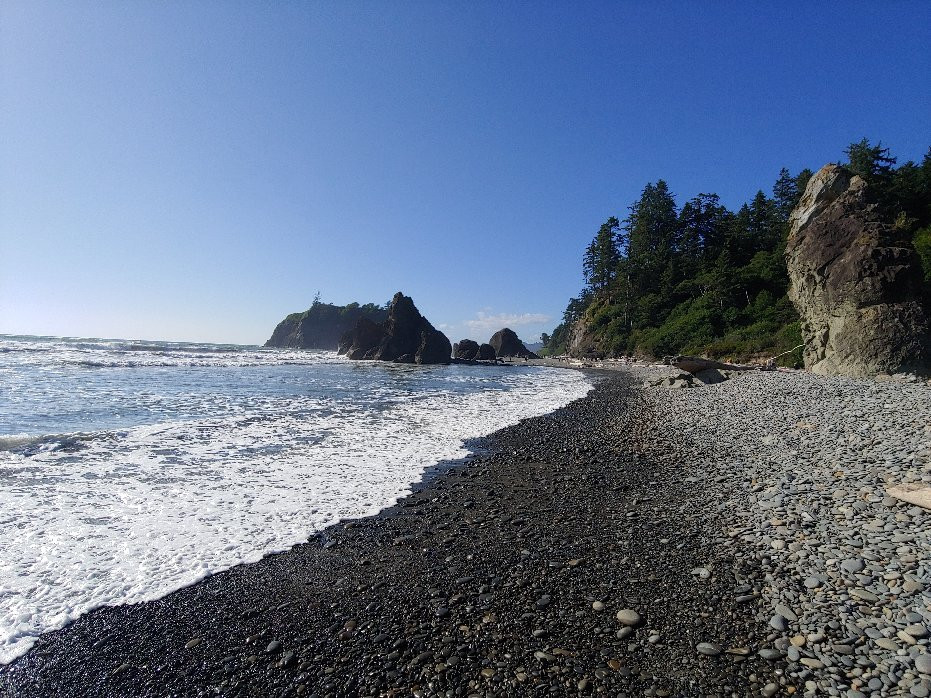 Olympic National Park and Forest Lake Quinault Tours景点图片