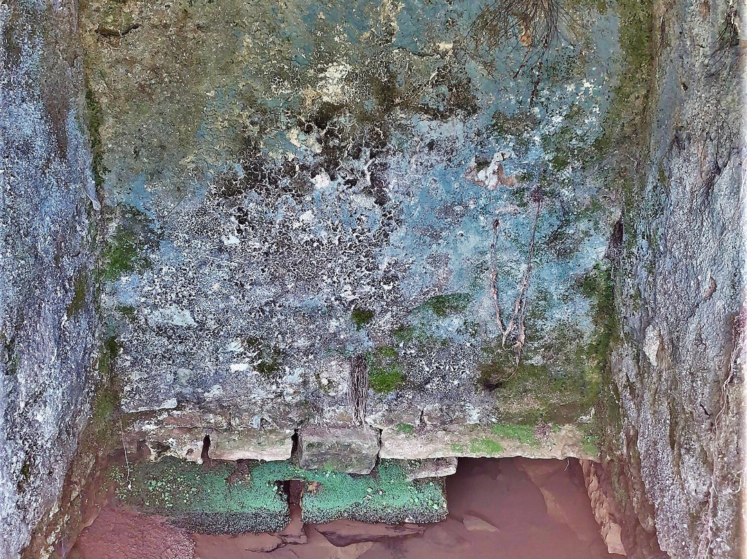 Riviere Souterraine de Champdeniers-Champdeniers-Saint-Denis必去景点