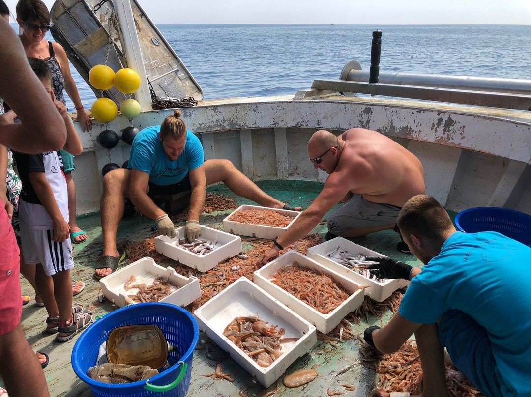 Eco-fishing Excursion m/b Jadran Tri景点图片