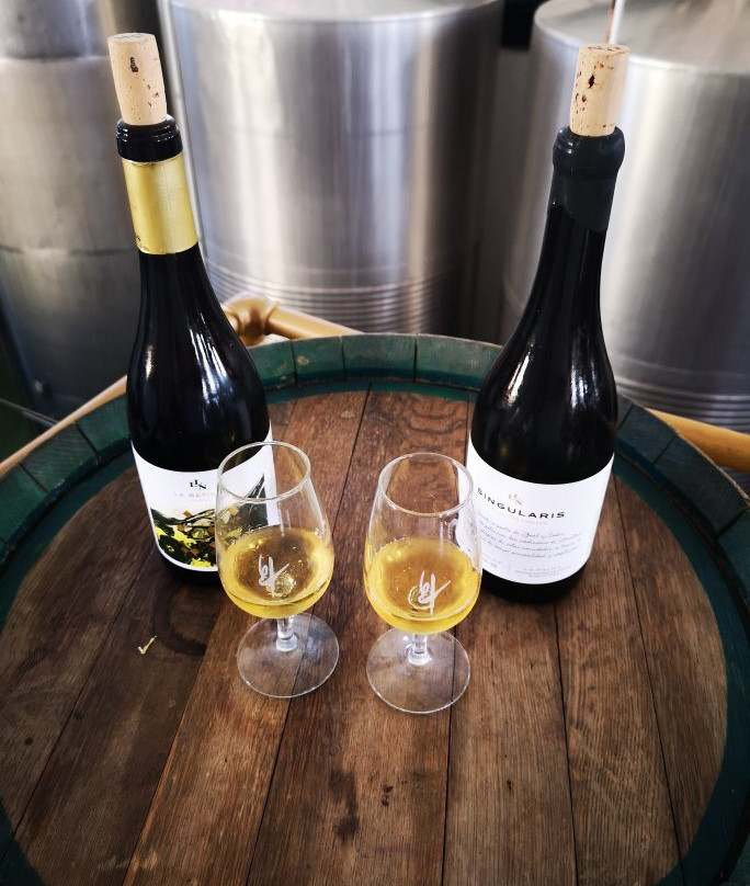 Bodegas Teneguia景点图片