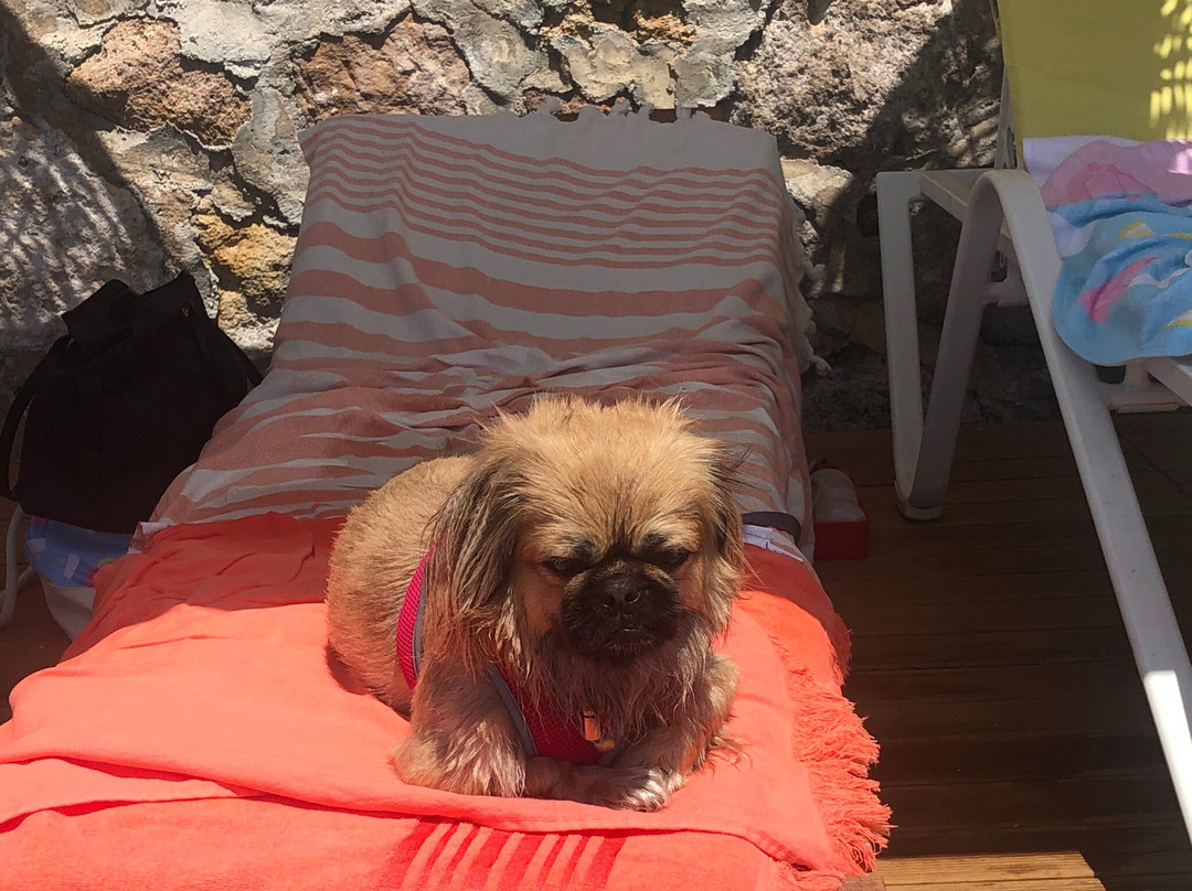 艾索斯萨尔杜尼亚精品酒店主图