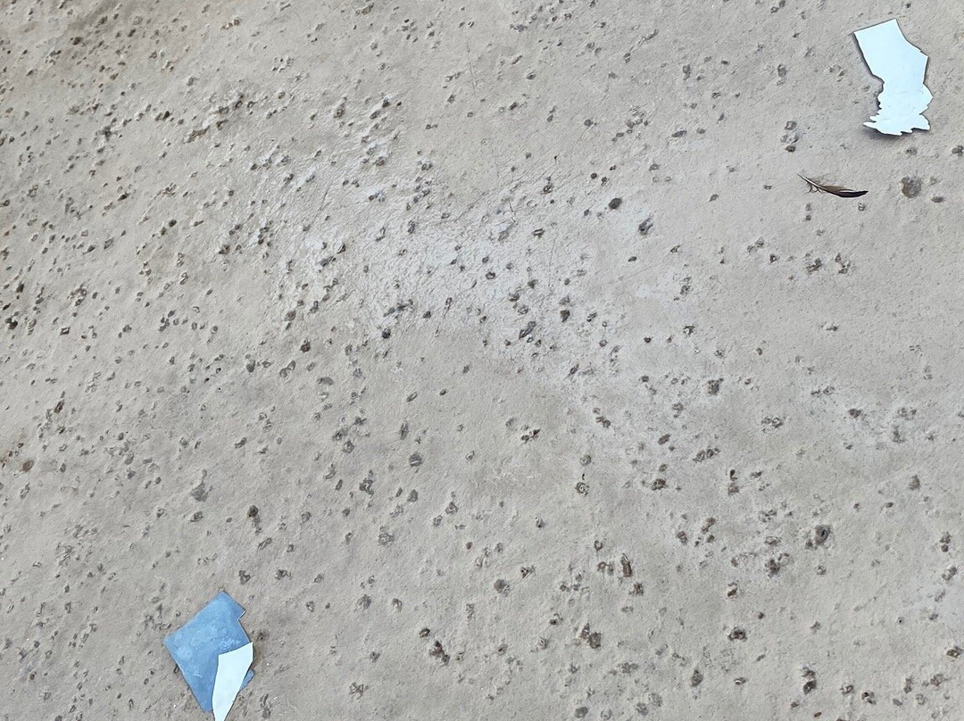 Holiday Inn Express Sedona - Oak Creek By IHG主图