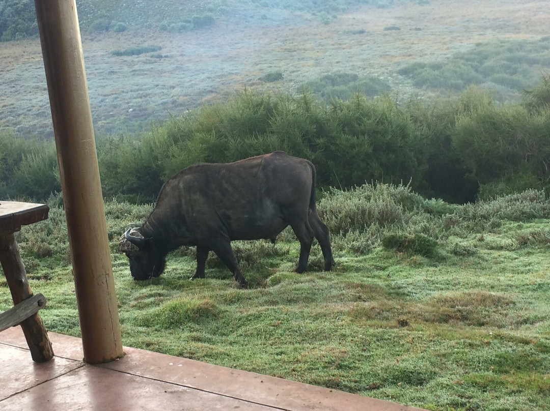 The Fishing Lodge Guest House主图