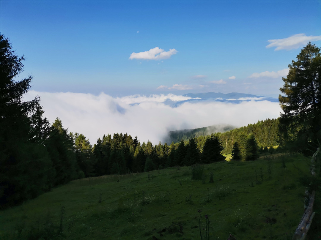 Almwellness Tonnerhutte