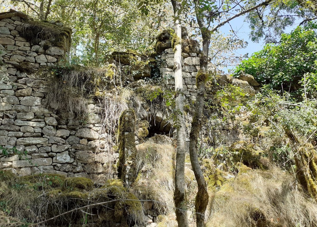 Tours de Carbonnieres-Goulles必去景点