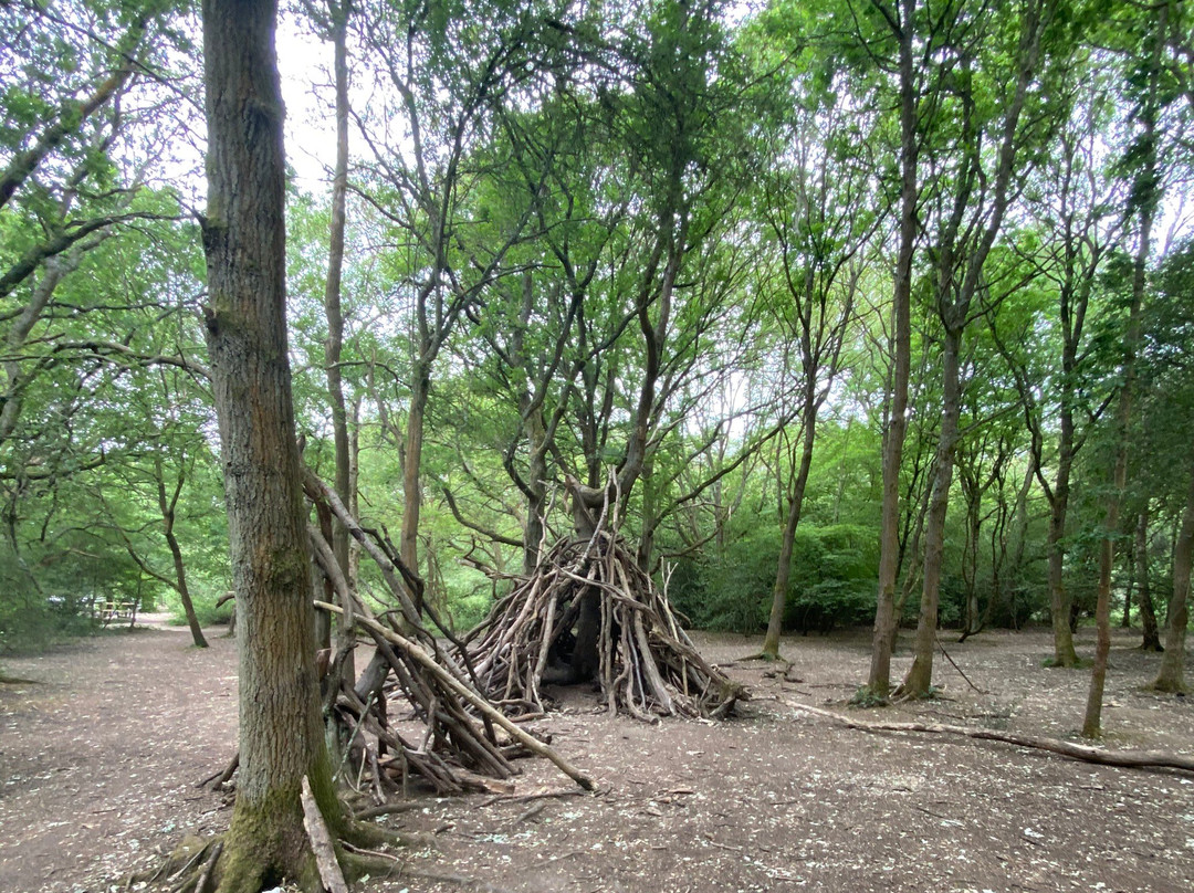 Epping Forest景点图片
