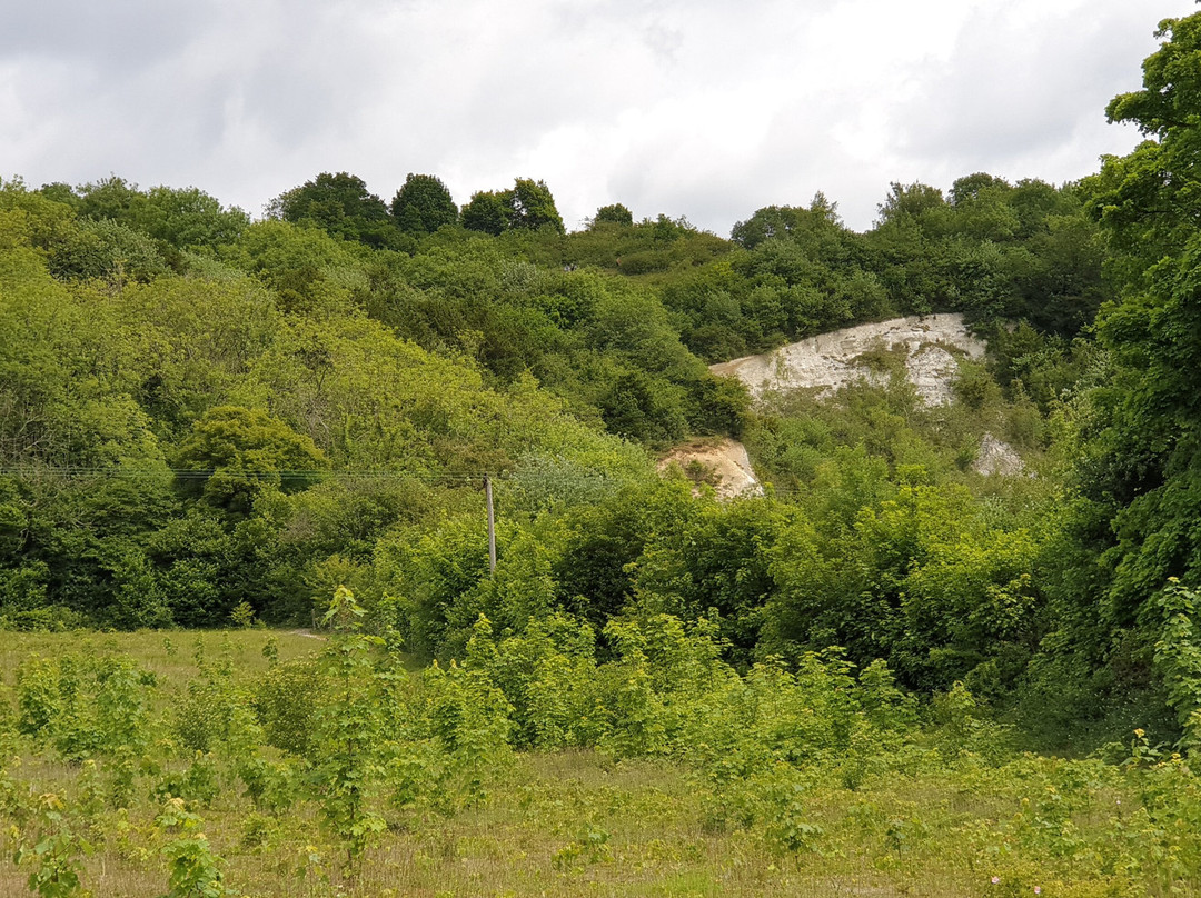 Bluebell Hill Picnic Site景点图片