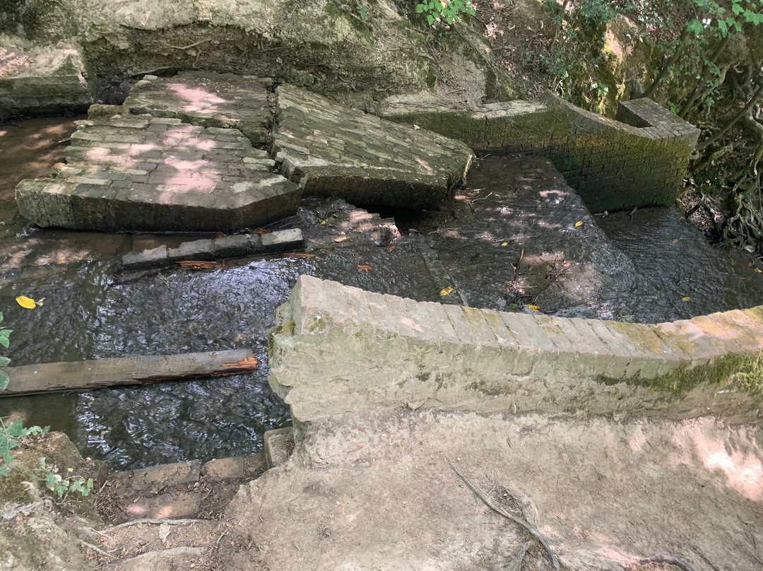 The mill pond景点图片
