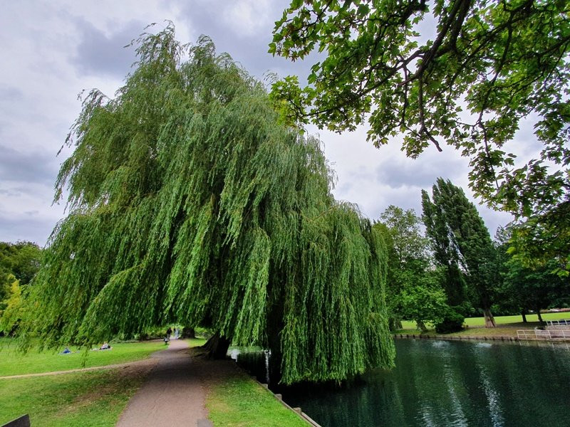 Beddington Park景点图片