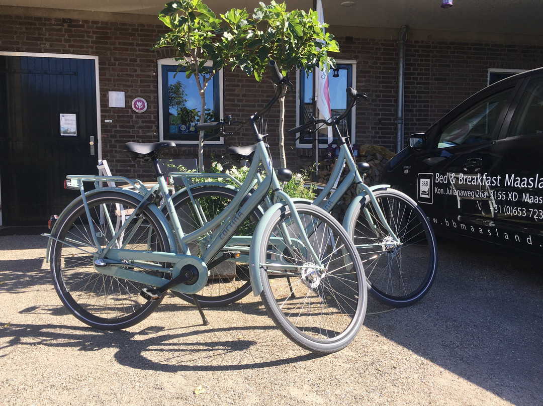 Bed&Breakfast Maasland主图