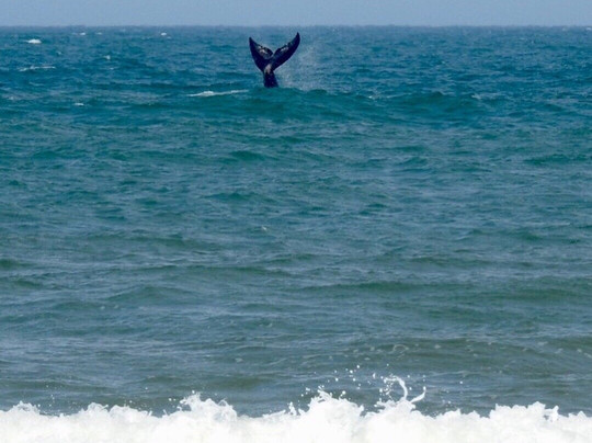 Praia Balneario Figueirinha-Jaguaruna必去景点