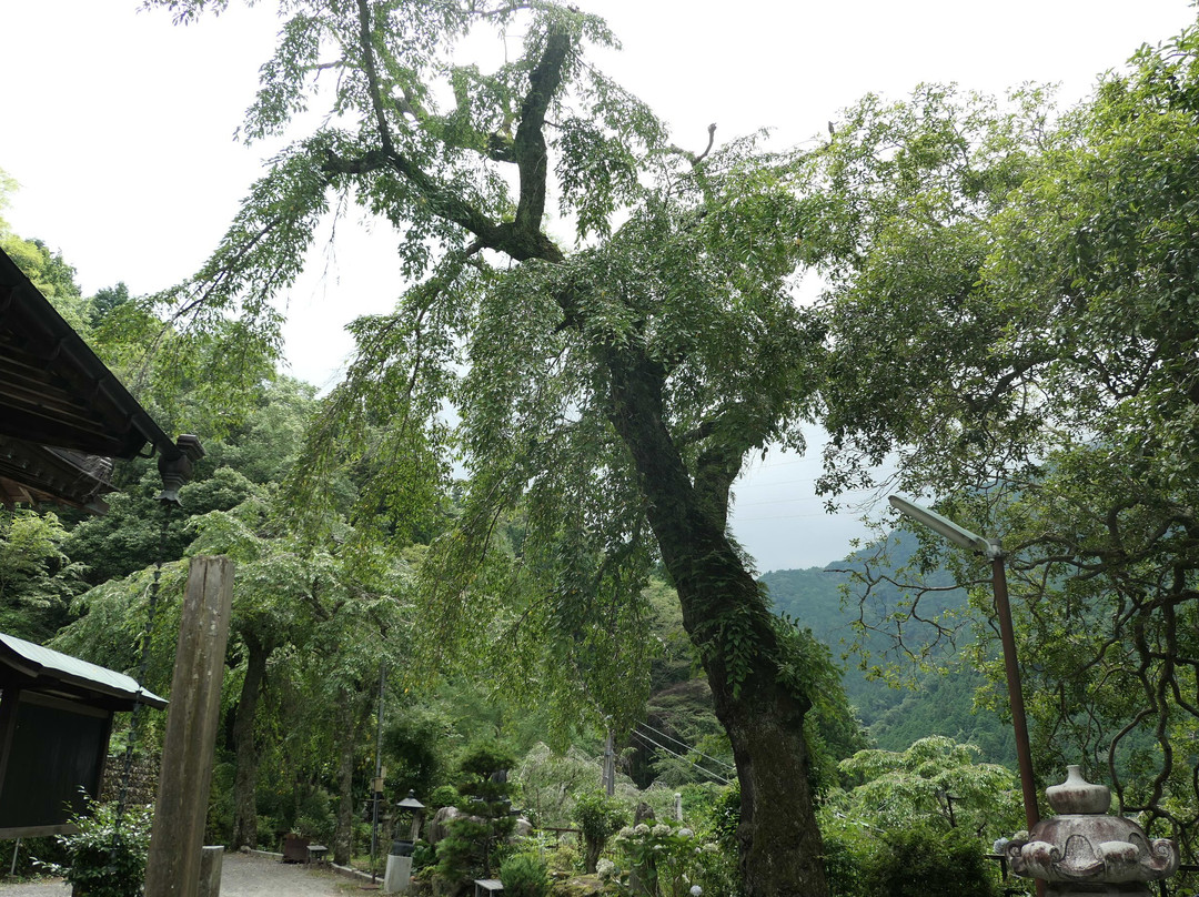 Kyoenbo Temple景点图片