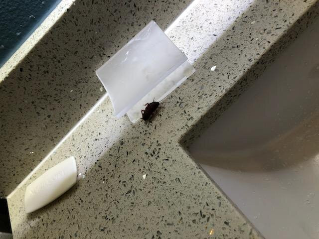 Homewood Suites by Hilton Conroe主图