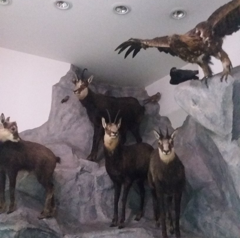 Muzeum Tatrzańskie im. Dra Tytusa Chałubińskiego-扎科帕内必去景点