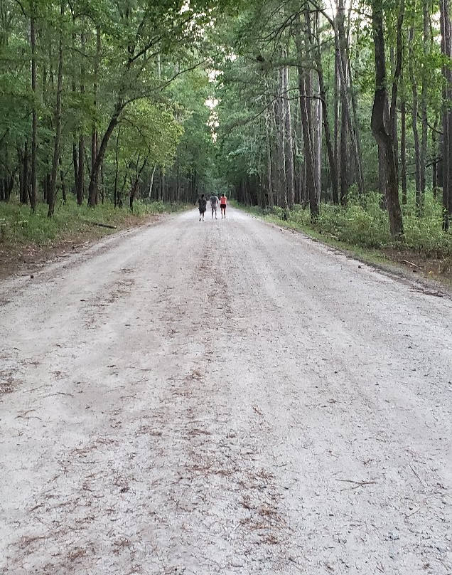 Goose Creek State Park景点图片