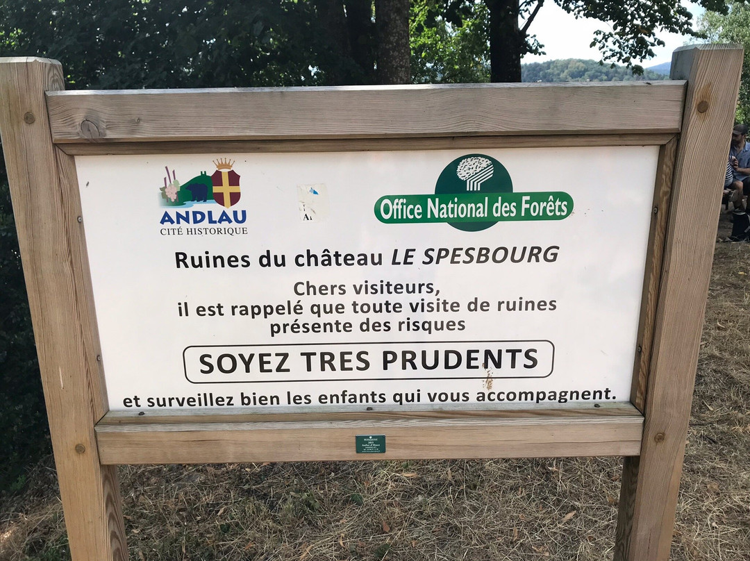 Château du Spesbourg景点图片