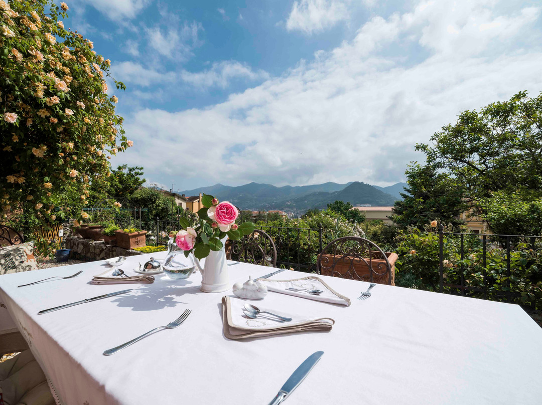 B&B Gattacicova主图