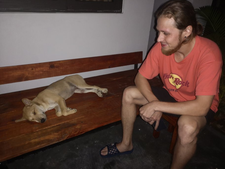 Ha My Beach Homestay Hoi An主图