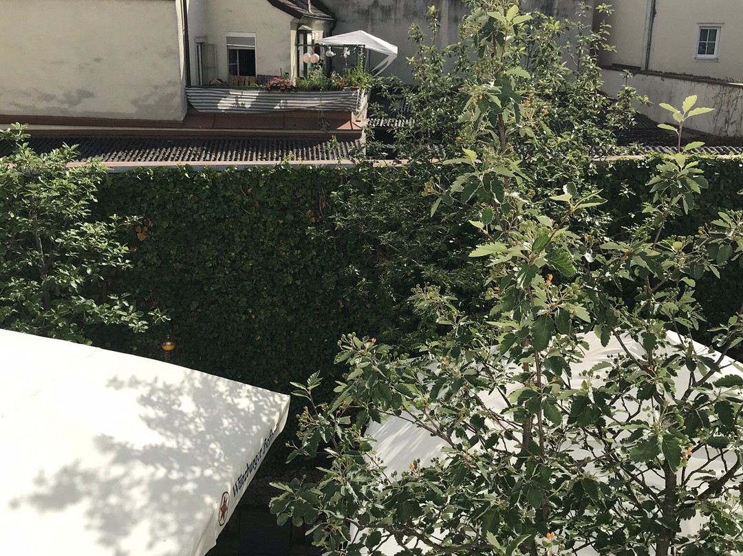 诺富特维尔茨堡酒店主图