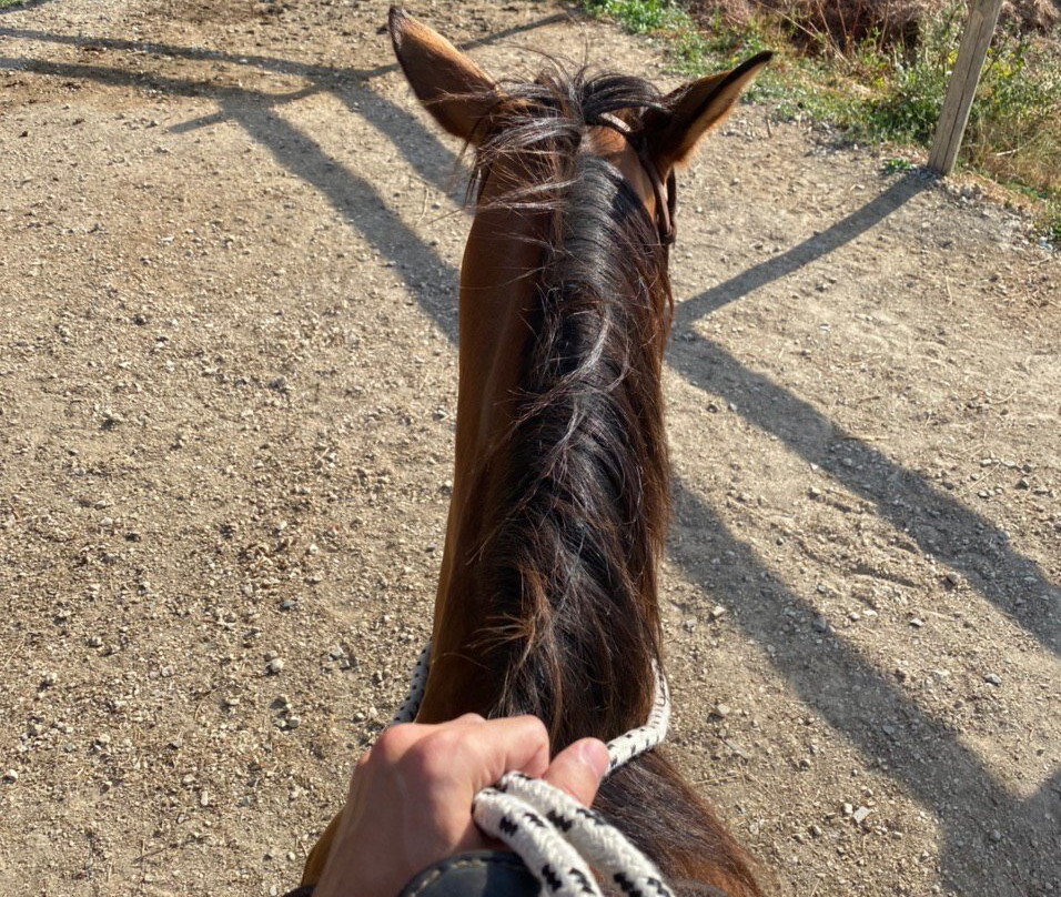 IL MISSOURI-Buonconvento必去景点