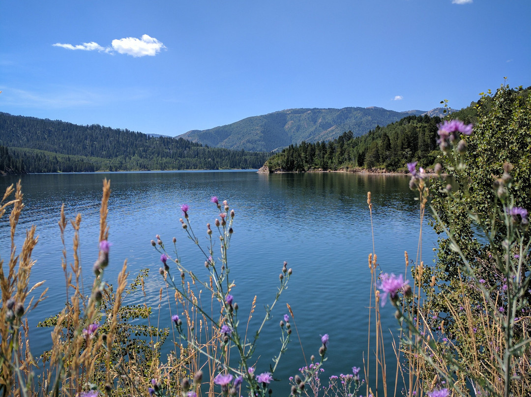Palisades Reservoir-天鹅谷必去景点