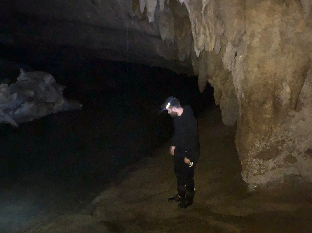 Waipu Caves Scenic Preserve景点图片