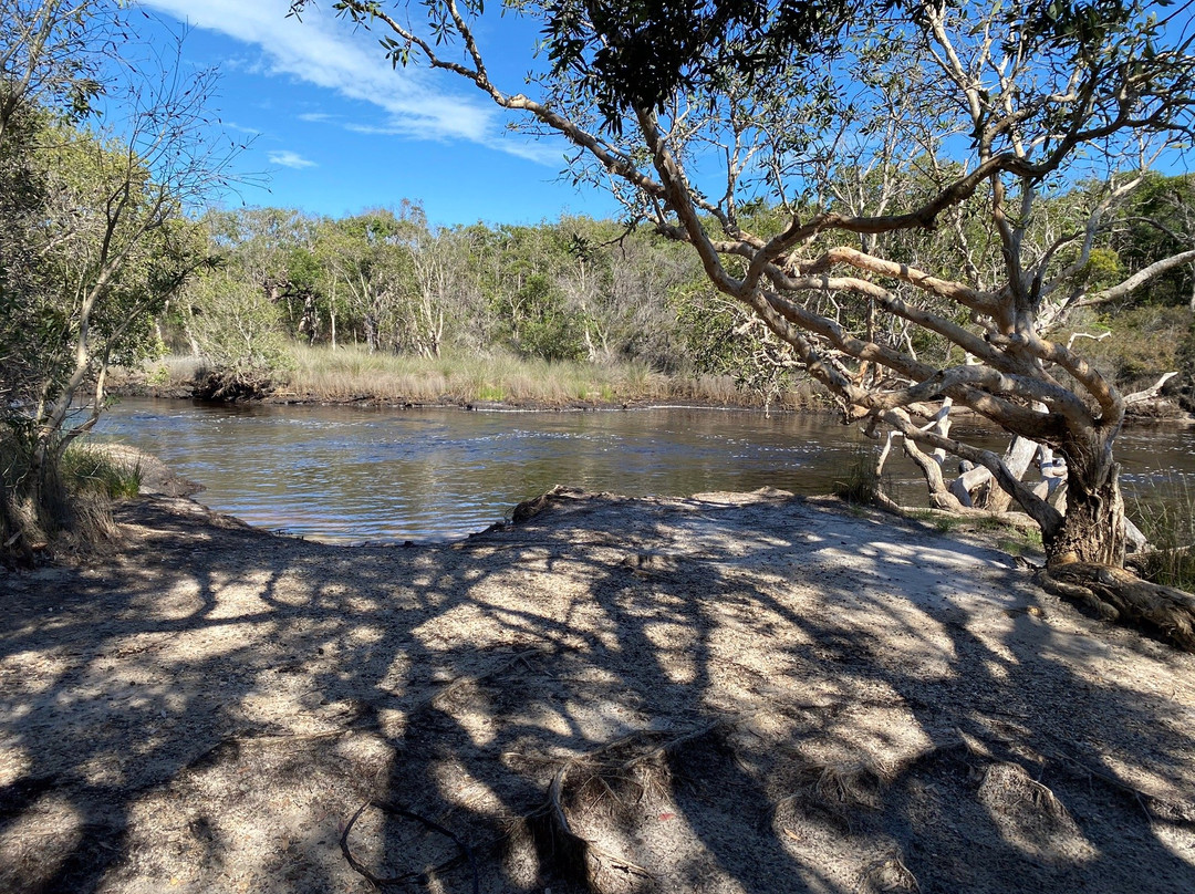 Bundjalung National Park景点图片