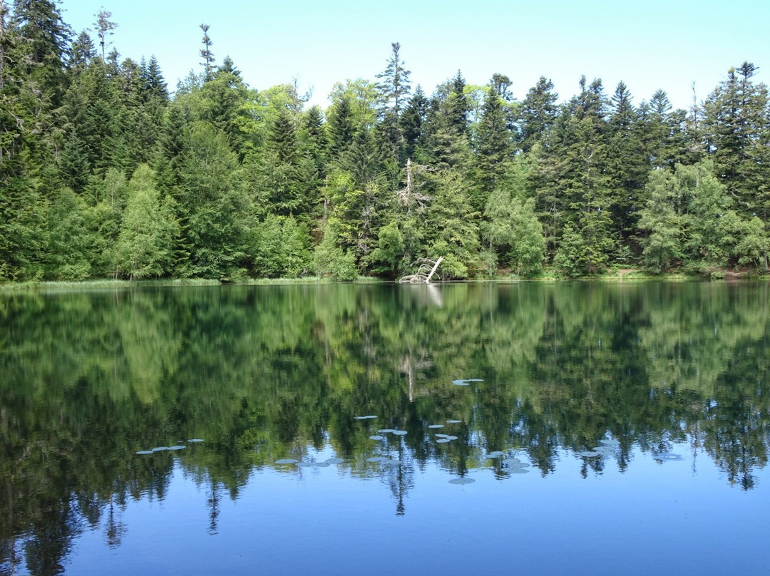 Lac de la Maix景点图片