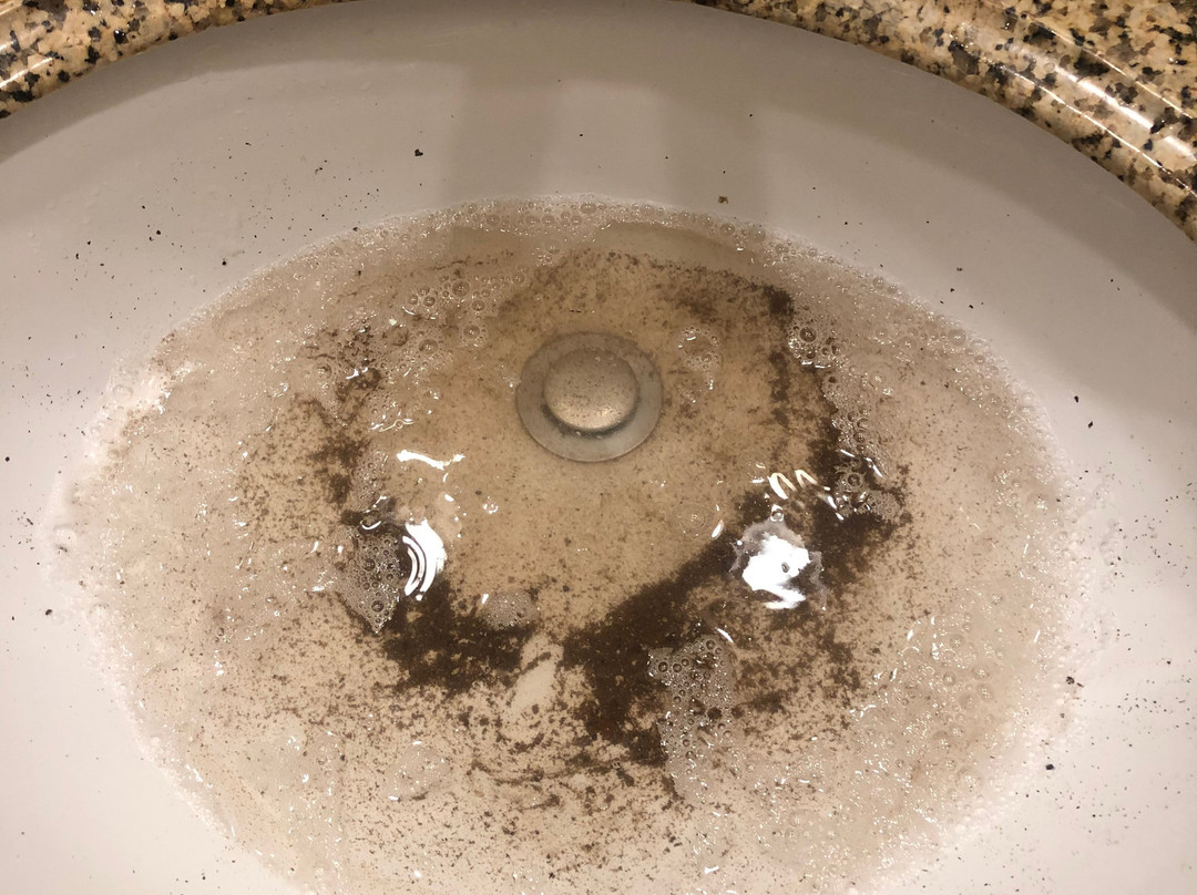 帕萨迪纳豪生酒店主图