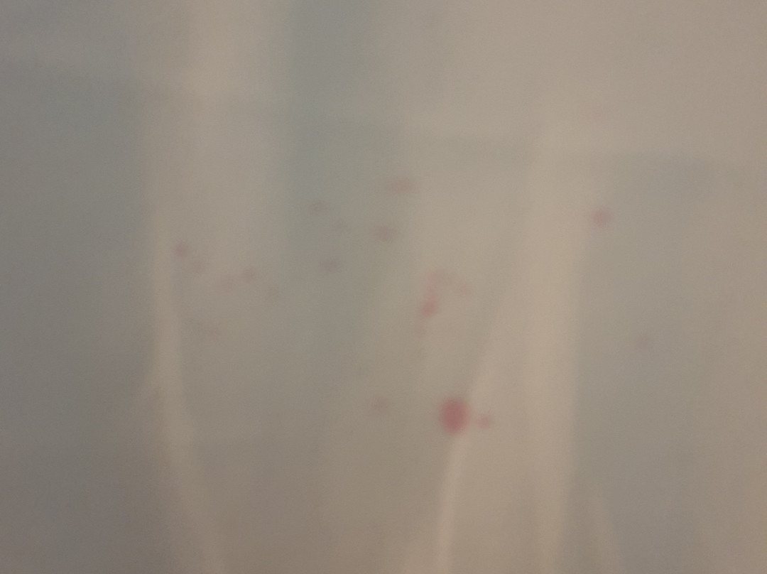 Madison Spa Motel - Adults Only主图