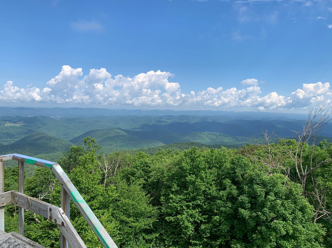 Bickel Knob Observation Tower-Elkins必去景点