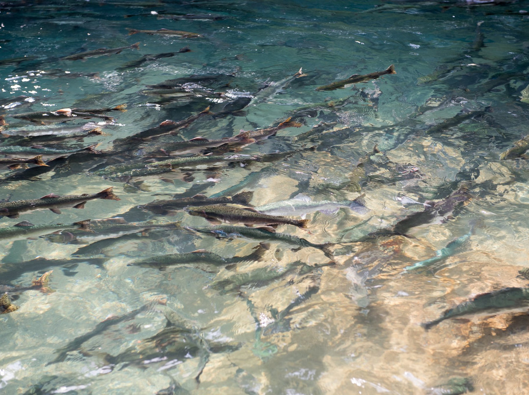 Tallheo Cannery Guest House主图