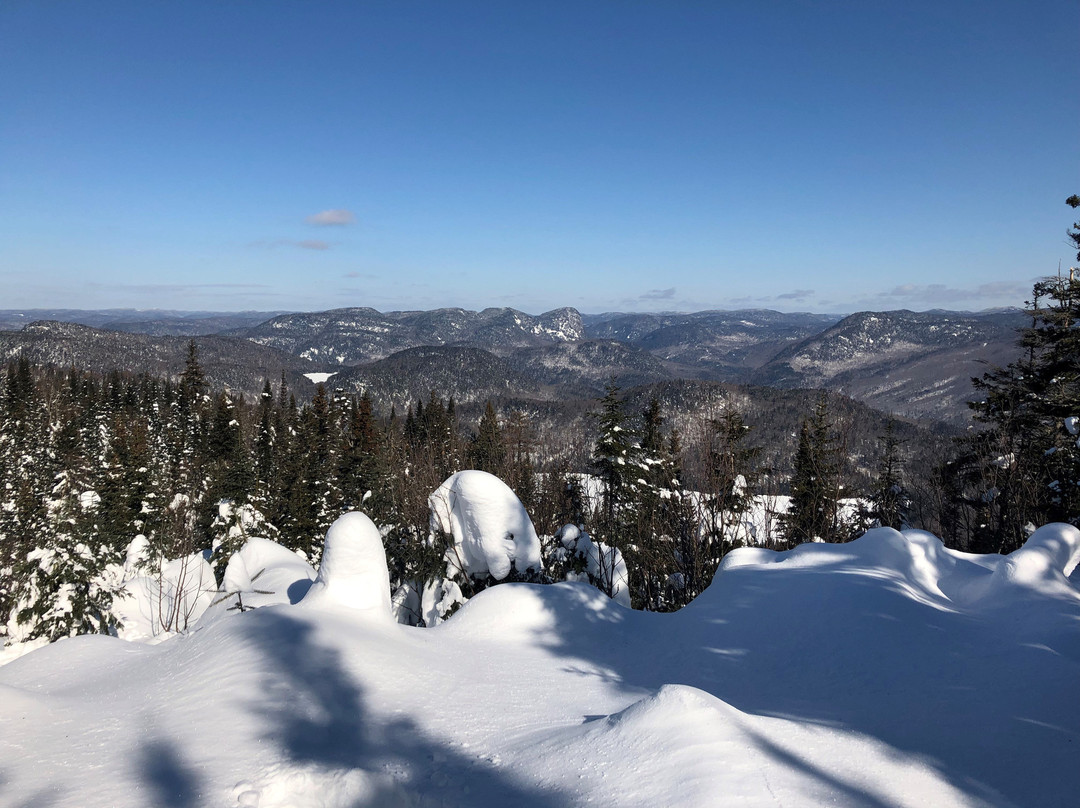 Stadacona Aventures-Saint-Raymond必去景点