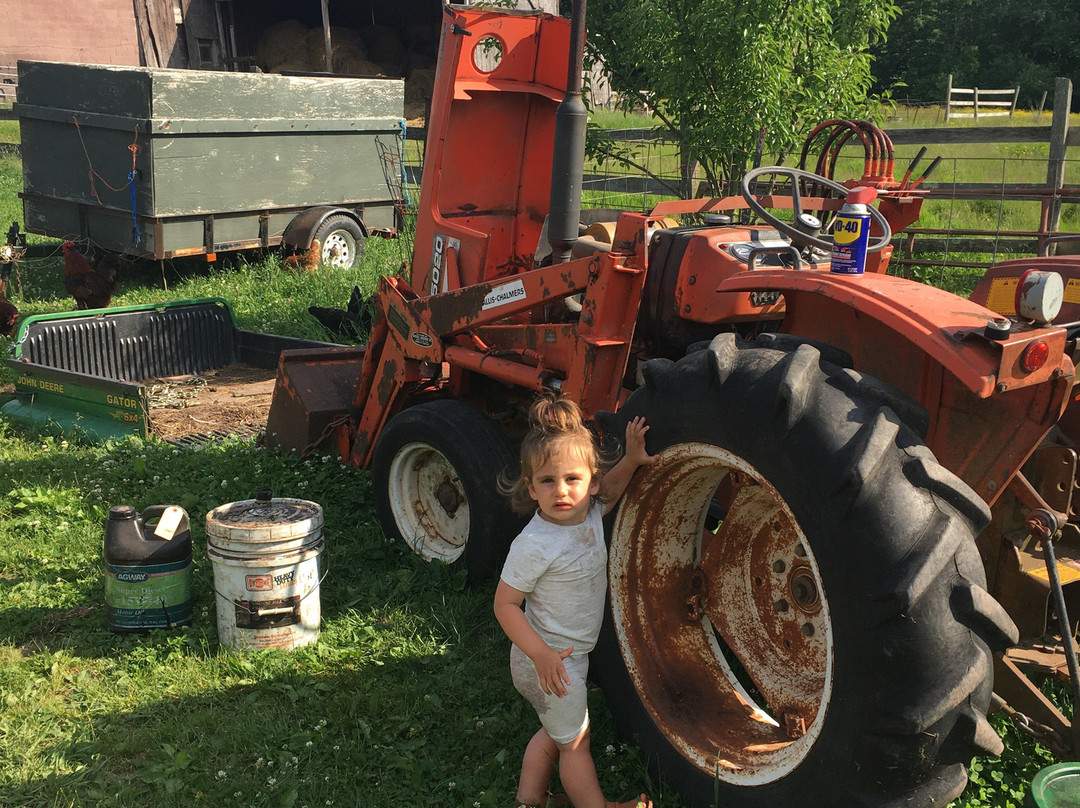 Apple Pond Farm-Callicoon Center必去景点