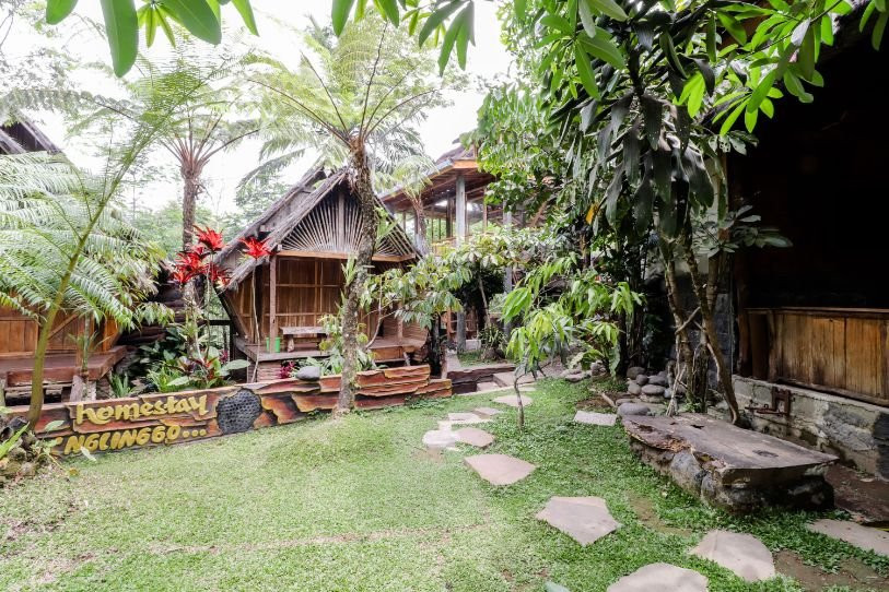 Rimbono Homestay主图