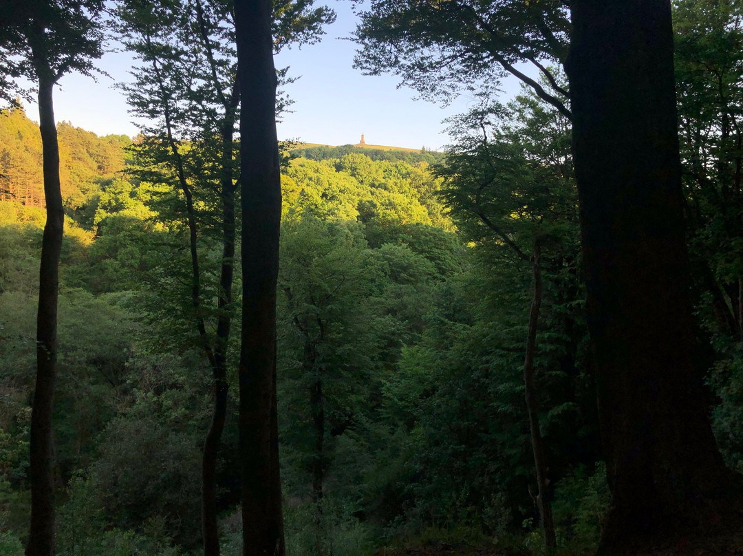 Sunnyhurst Wood-Darwen必去景点