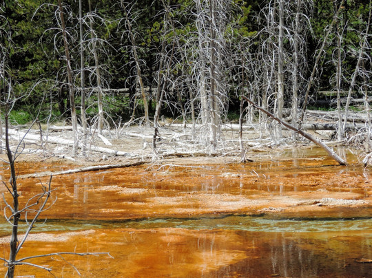 Roam Yellowstone Guiding-西黄石镇必去景点