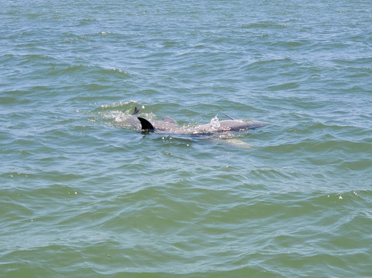 Sunny Island Adventures-俘虏岛必去景点