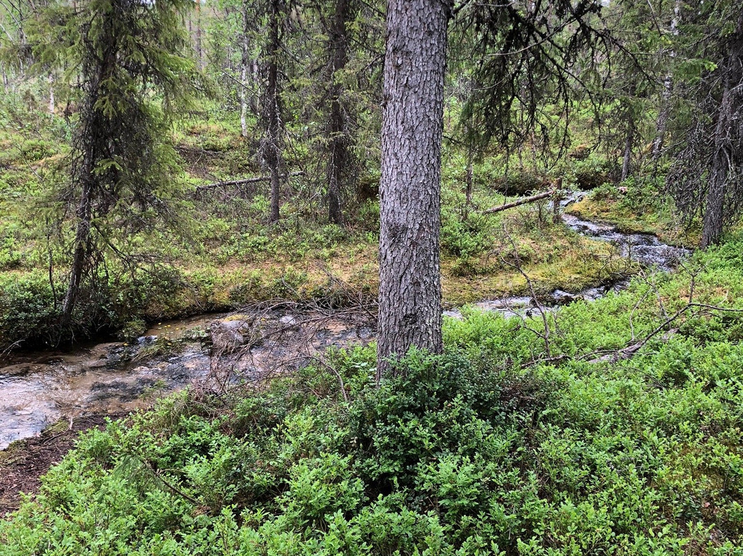 Syote National Park-Pudasjarvi必去景点