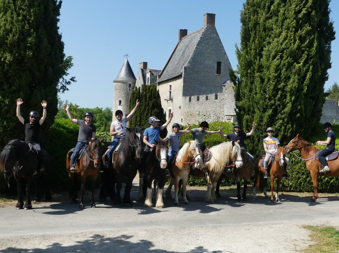 Randonnez Cheval Ô Centre-Lamotte-Beuvron必去景点