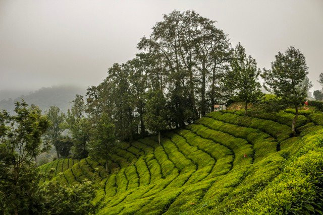 Kurangani-Theni必去景点