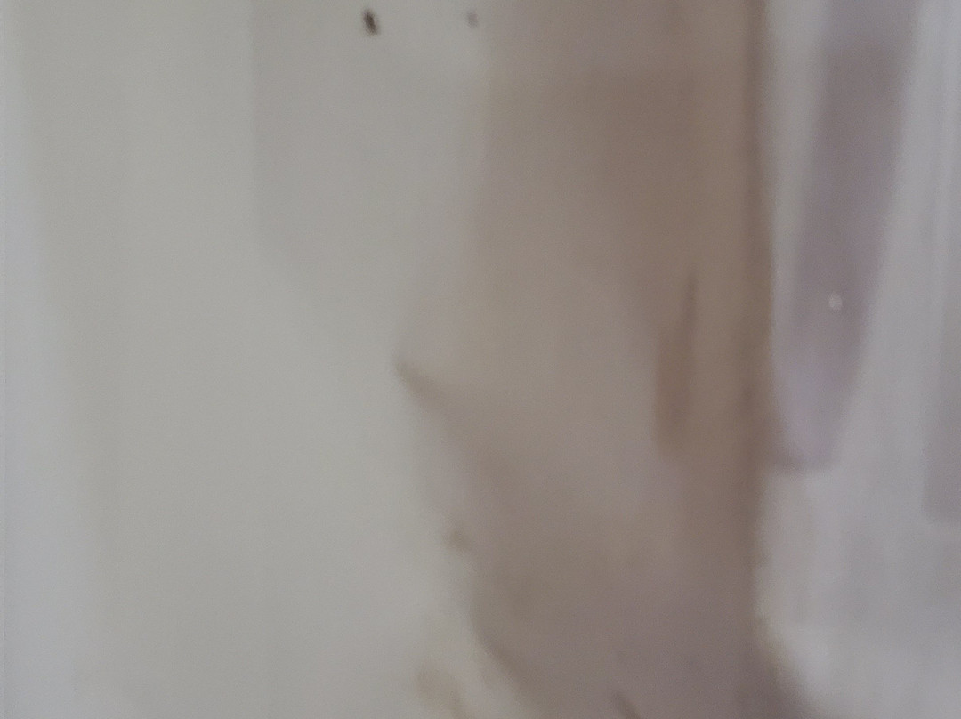 Best Western Plus Jacksonville West主图