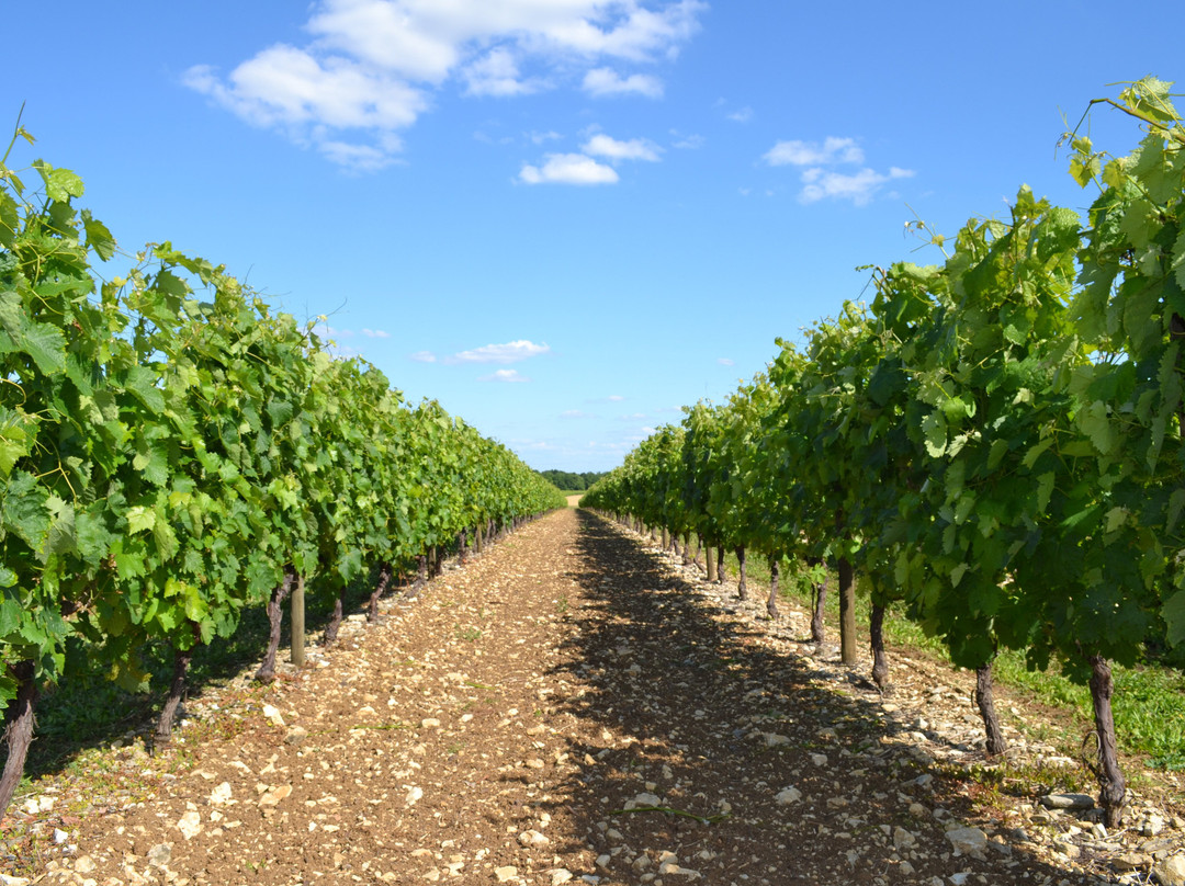 Les Raisins de L'Abbaye-Asnieres-la-Giraud必去景点