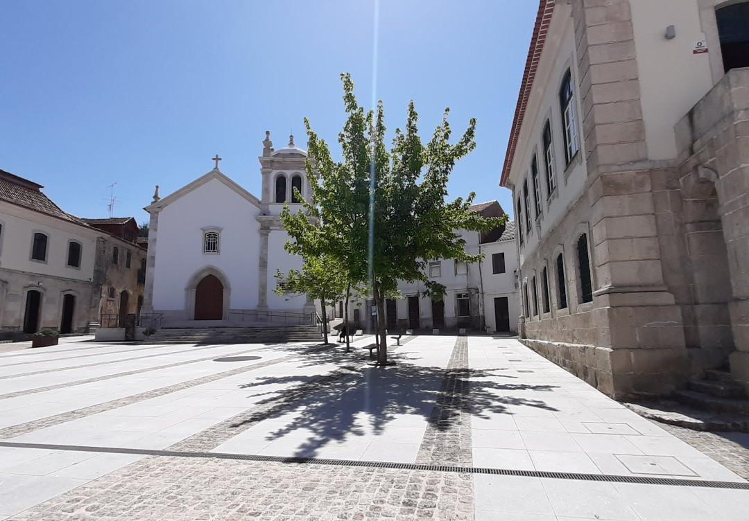 Museu Marquês de Pombal景点图片