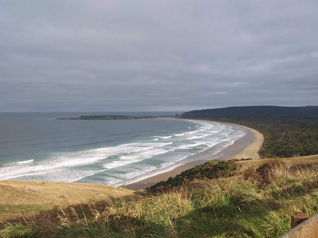 Florence Hill Lookout-Papatowai必去景点