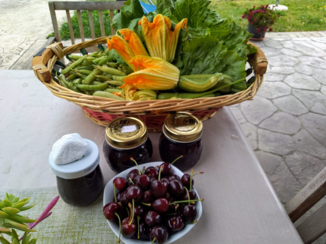 Agriturismo Allo Scoglio - Azienda Agricola主图